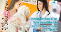 Kommunikation mit Tierbesitzer*innen und dem Tier